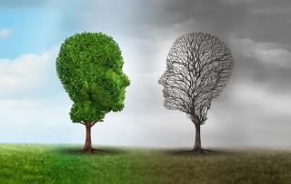 Biorasi wins ANDA Trial