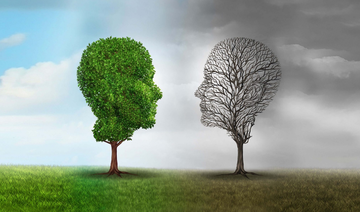 Biorasi wins ANDA Trial