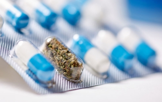 Are cannabinoid-derived drugs the future of medicine?